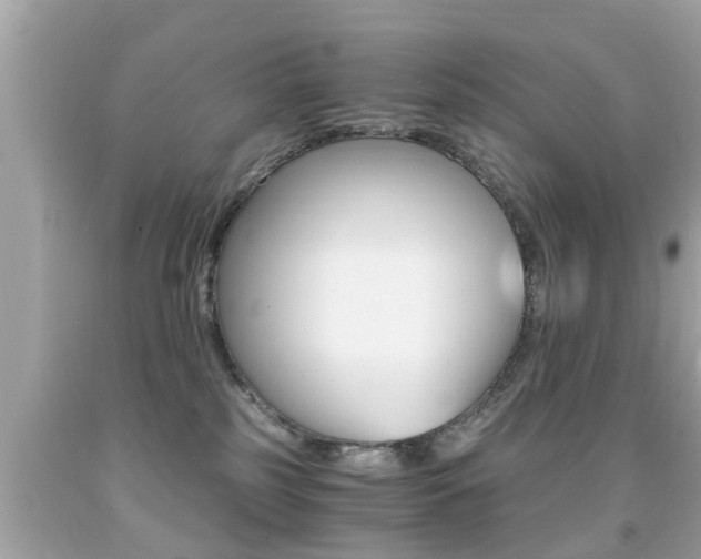 X0000091860185200709051005