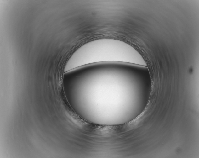 X0000091860186200709051005