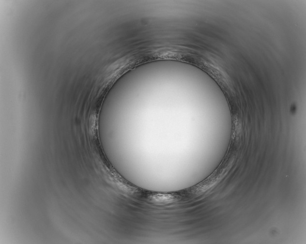 X0000091860189200709051005