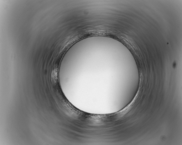 X0000091860190200709051005