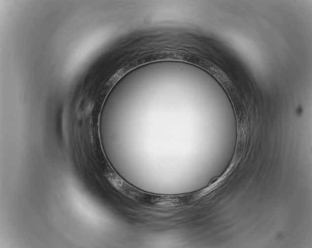 X0000091860191200709051005