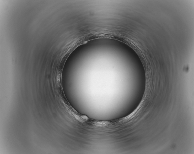 X0000091860192200709051005