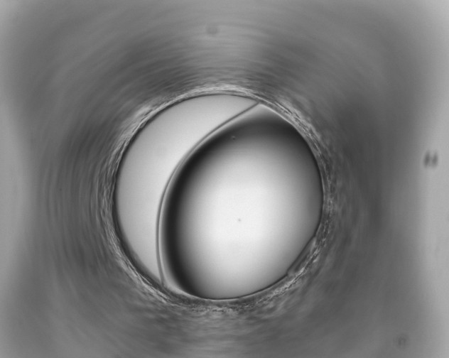 X0000091860193200709051004