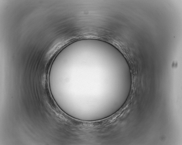 X0000091860194200709051004