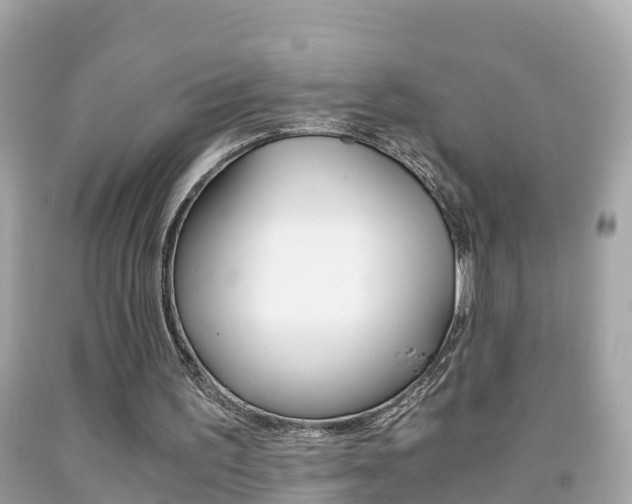 X0000091860195200709051004