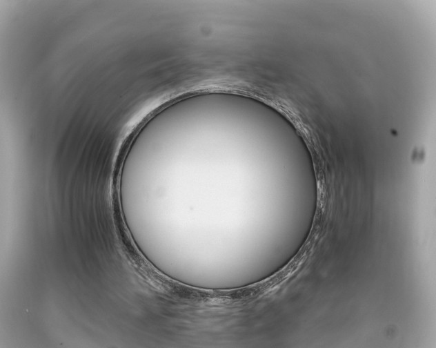 X0000091860196200709051004