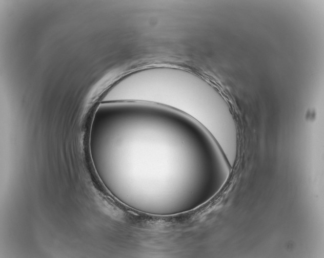 X0000091860197200709051004