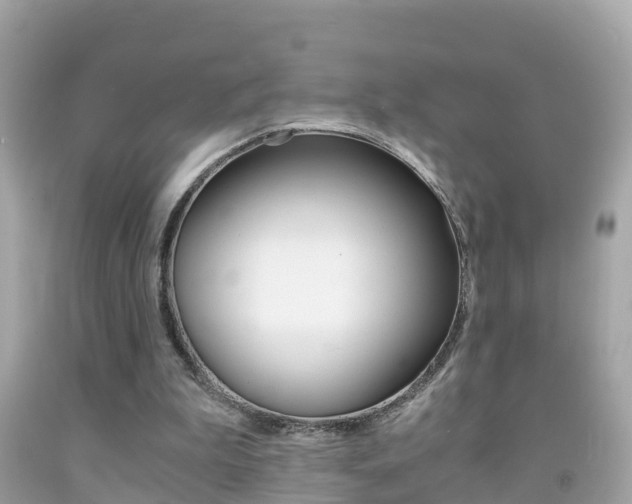 X0000091860199200709051004