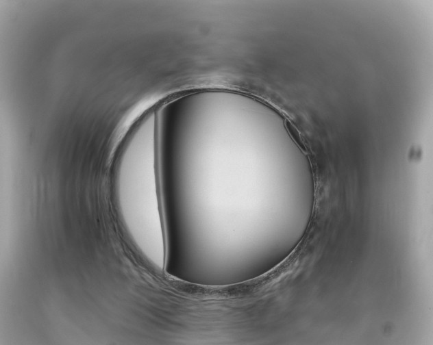 X0000091860200200709051004