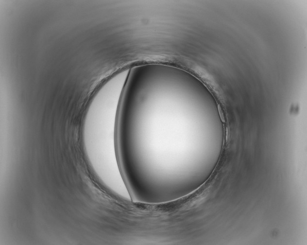 X0000091860201200709051004
