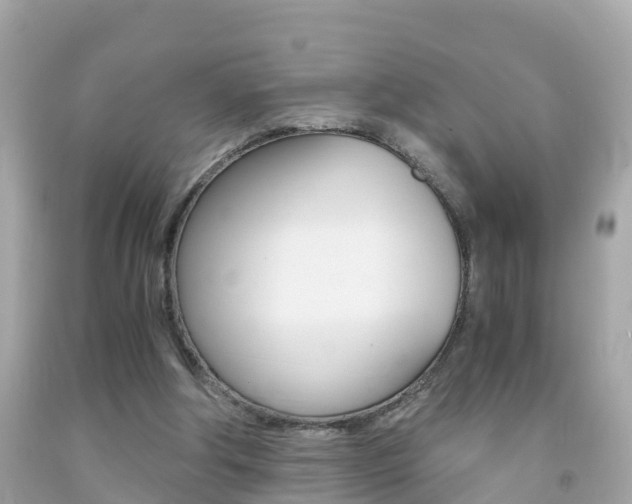 X0000091860202200709051004