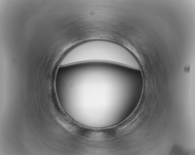 X0000091860203200709051004