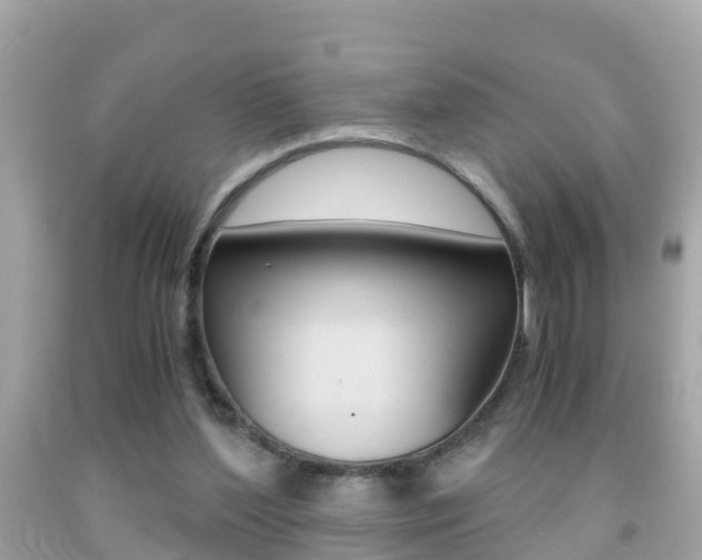 X0000091860204200709051004
