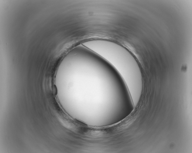 X0000091860205200709051004