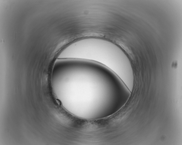 X0000091860207200709051004