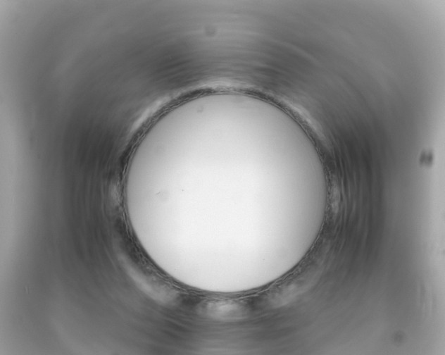 X0000091860208200709051004