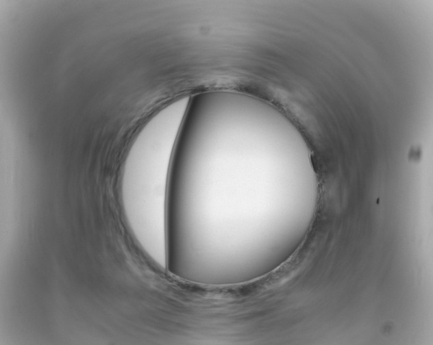 X0000091860209200709051004