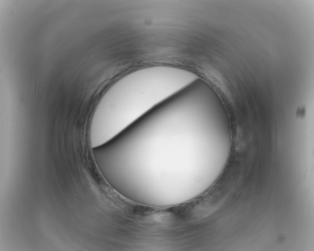 X0000091860210200709051004