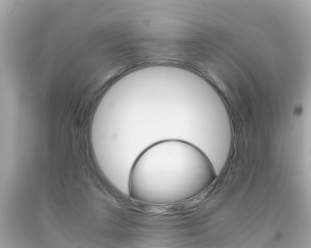 X0000091860211200709051004