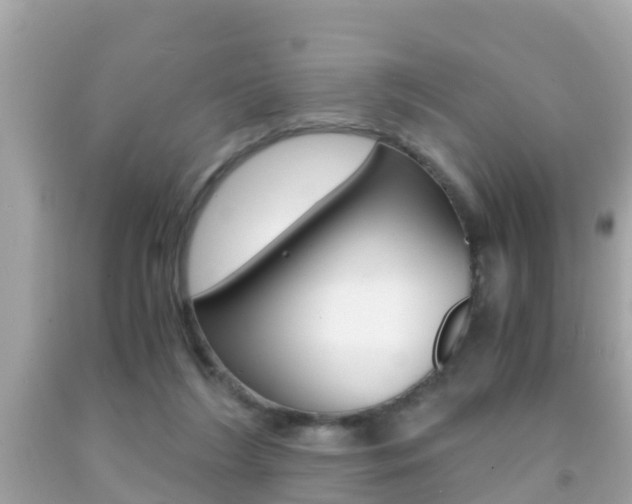 X0000091860212200709051004
