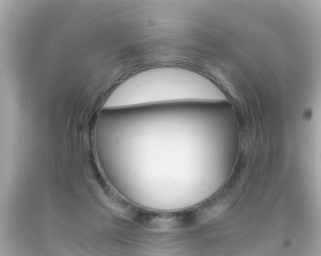 X0000091860213200709051004