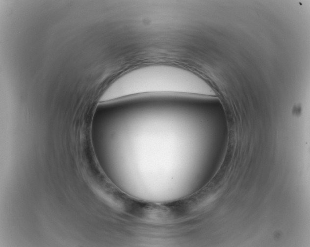 X0000091860215200709051004