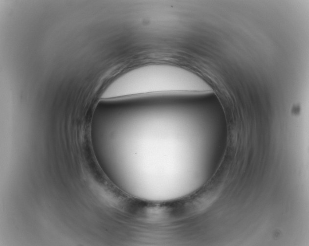 X0000091860216200709051004