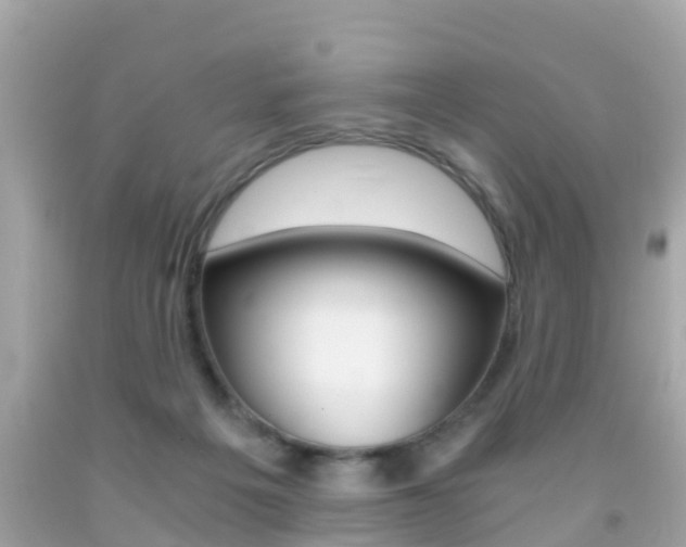 X0000091860217200709051004