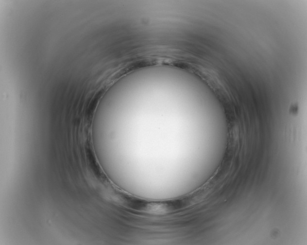 X0000091860218200709051004