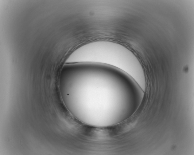 X0000091860221200709051004