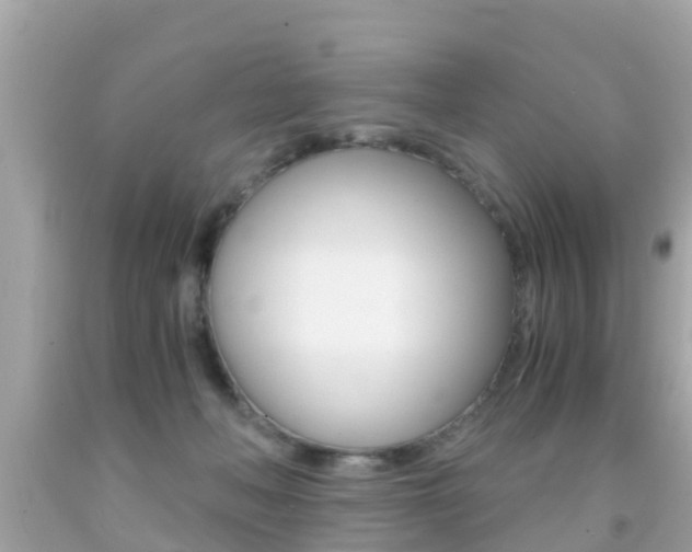 X0000091860222200709051003