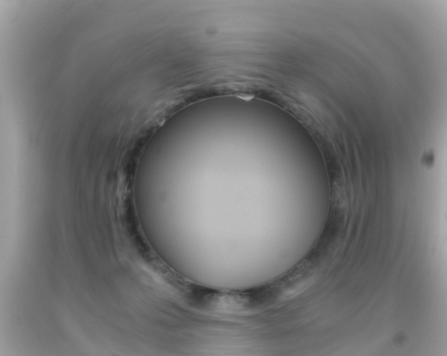X0000091860223200709051003