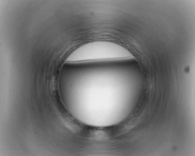 X0000091860224200709051003