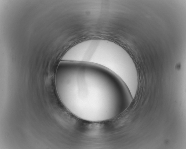 X0000091860225200709051003