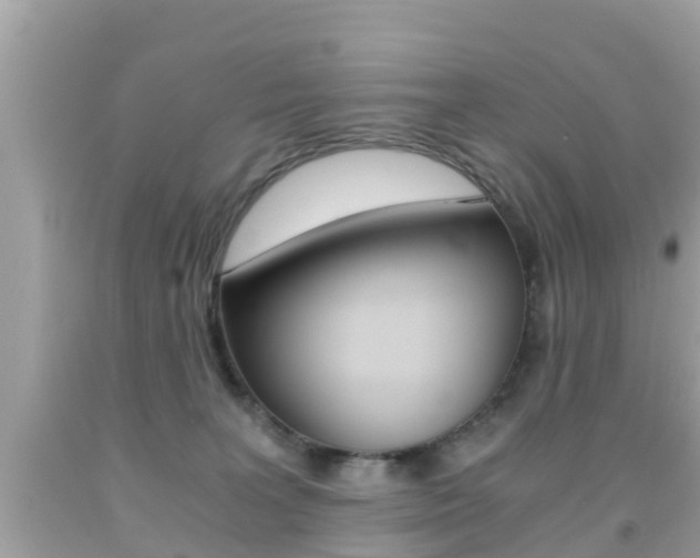 X0000091860227200709051003