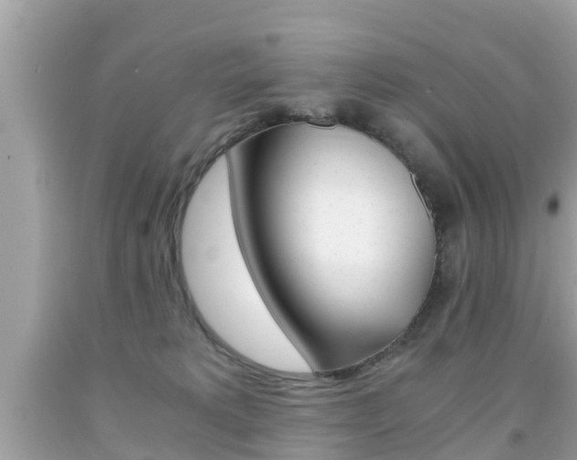 X0000091860229200709051003