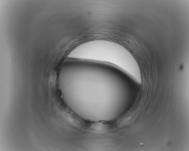 X0000091860231200709051003