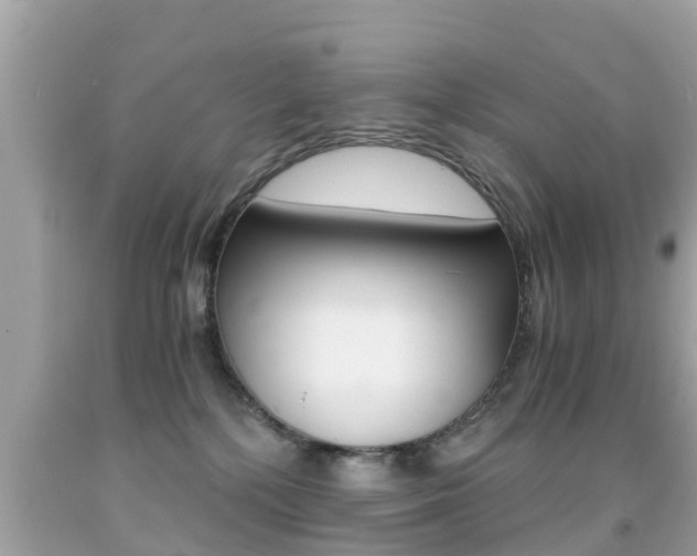 X0000091860232200709051003