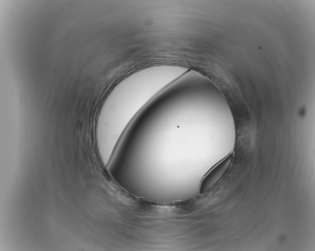 X0000091860233200709051003