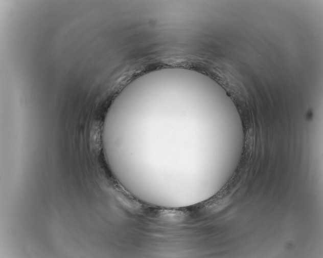 X0000091860234200709051003