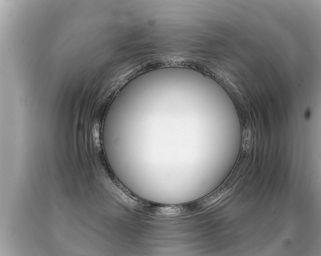 X0000091860238200709051003