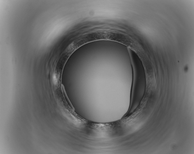 X0000091860239200709051003