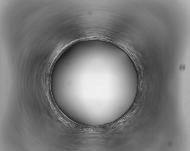 X0000091860241200709051003