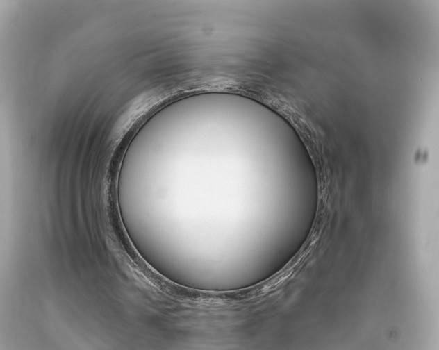 X0000091860242200709051003