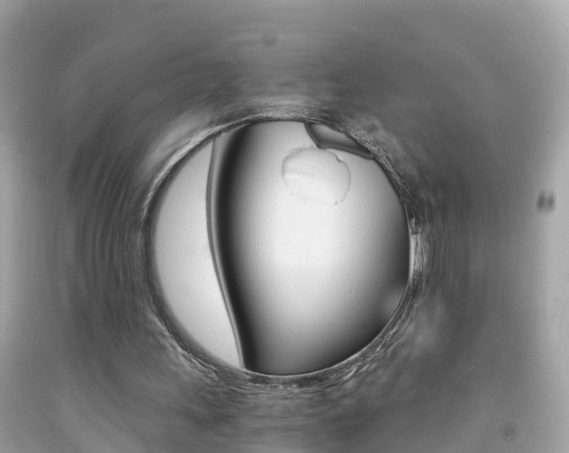 X0000091860243200709051003