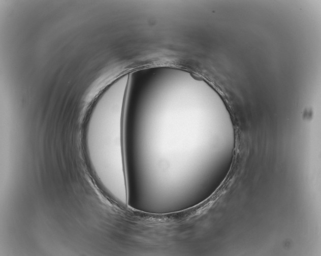 X0000091860245200709051003