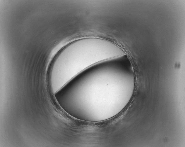 X0000091860246200709051003
