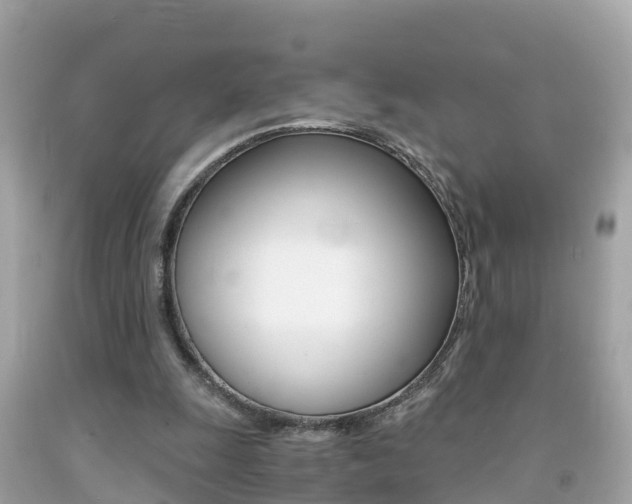 X0000091860247200709051003