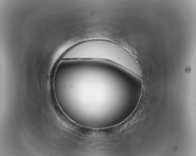 X0000091860248200709051003