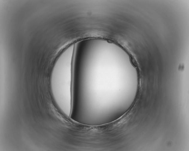 X0000091860249200709051003